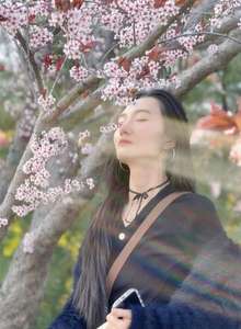 照片相册