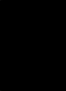 照片相册