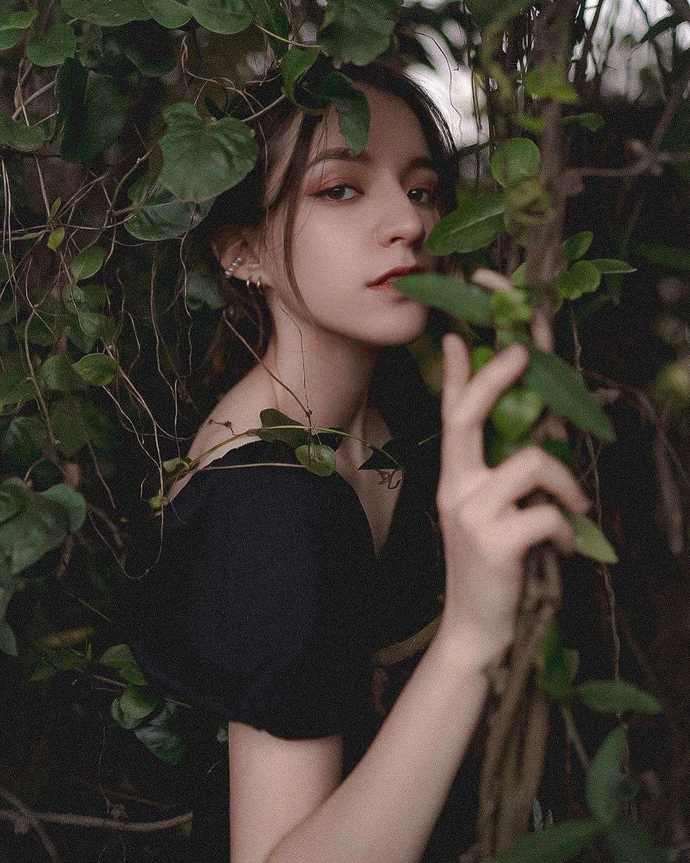 夜景经纪人