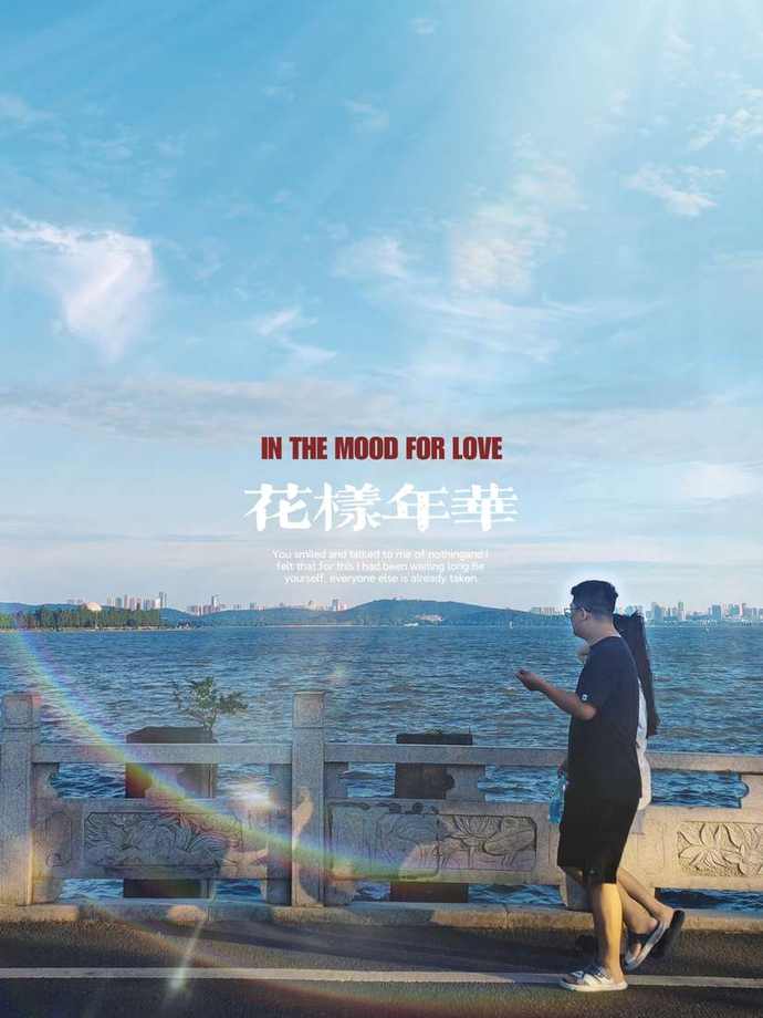 森系其他