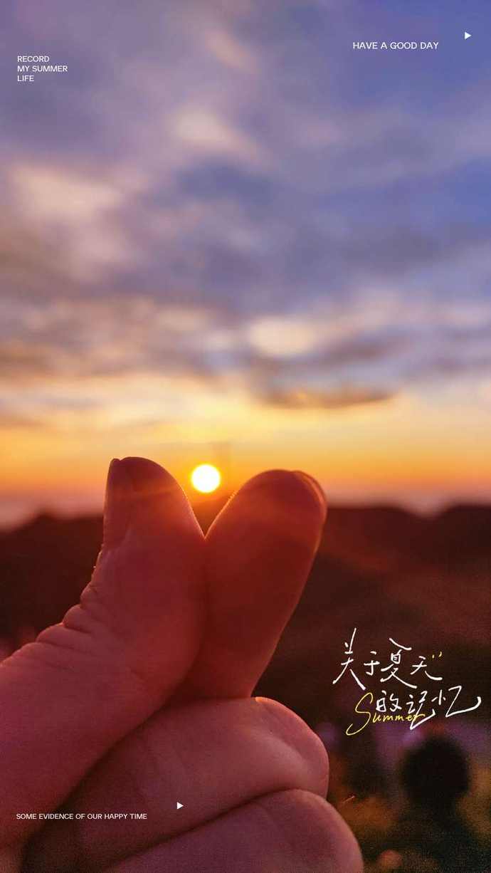 森系其他