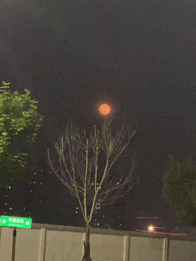 情侣其他