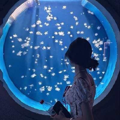模特