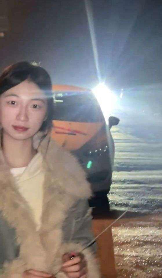 清新其他