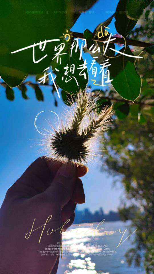 情绪其他
