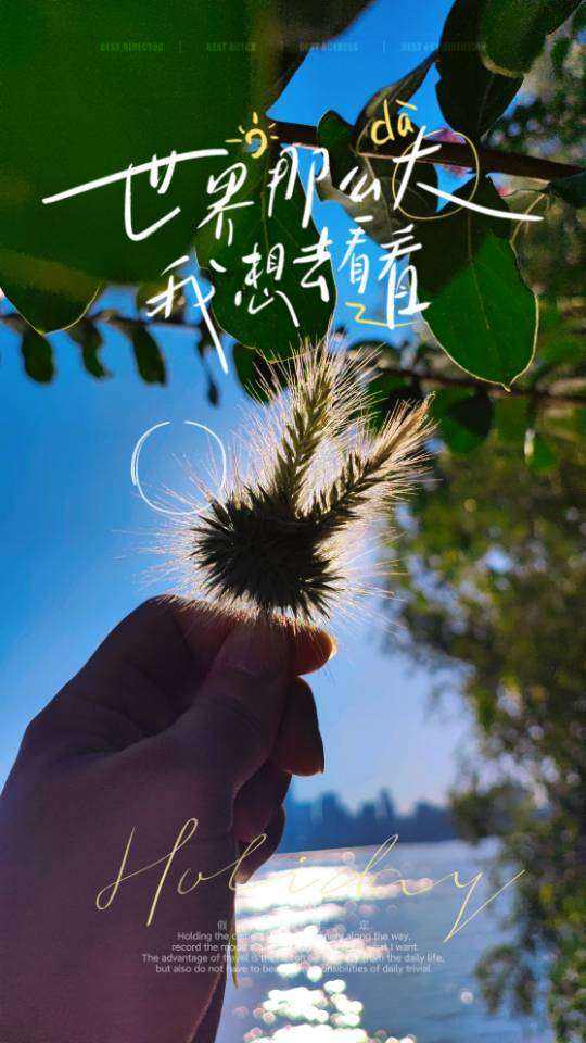 情绪其他